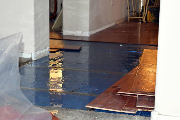 Professional Basement Flood Cleanup technician working in Montauk, NY